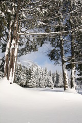 Engadina - Sankt Moritz e dintorni