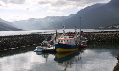 Fototapeta premium petit port de peche à Mjoifjordur