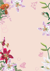 Obraz na płótnie Canvas lily flowers frame illustration on pink