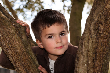 child portrait while climbing tree ..