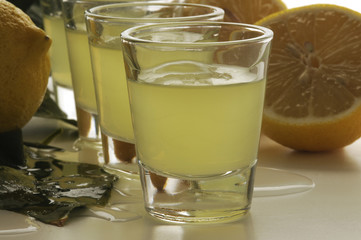 Liquore al limone - Campania