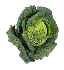 Savoy Cabbage closeup