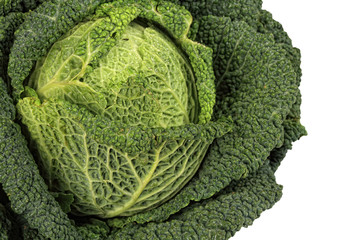 Savoy Cabbage closeup