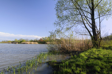 Fototapeta na wymiar Lake in the spring