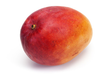 mangue