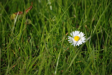 Fr&uuml;hlingsanfang