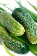 cucumber