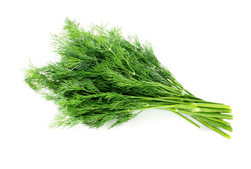 fresh dill isolated on white