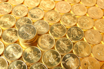 gold coins , Hong Kong currency $0.5 coins.