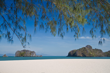 Strand mit blauem Himmel und Zweigen