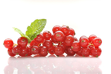 Johannisbeeren