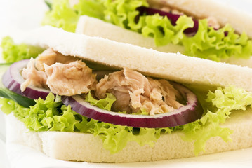 Thunfisch Panini