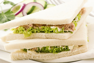 Thunfisch Sandwich