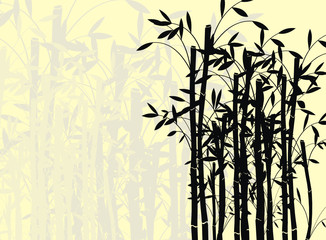 Fototapeta na wymiar bamboo wallpaper