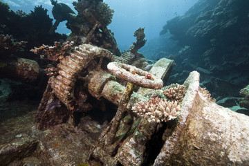Wreck German freighter Kormoran - sank in 1984 Tiran