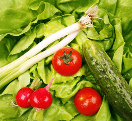 Salad ingredients