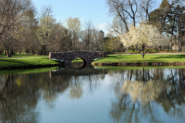 Fototapeta na wymiar Spring Pond