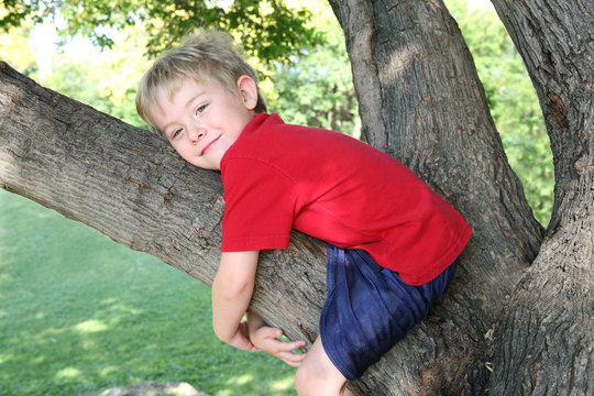 Smiling boy hugging a tree