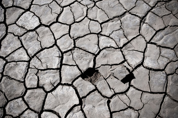 Cracked soil of desert