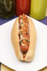 hot dog with melted cheese