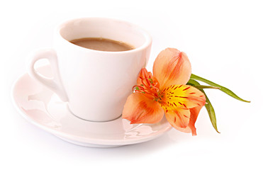 Cup of coffee and flower isolated on white