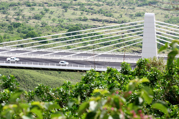 route des tamarins, île de la Réunion, pont à haubans