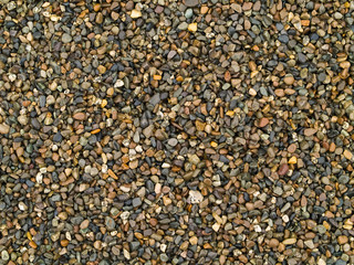 Playground Pea Gravel Wet from a Recent Shower