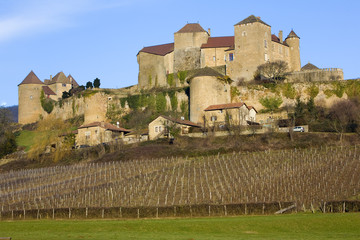 Berzé-le-Chatel, Burgundy, France