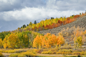 Colorful hillside