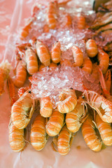 prawns, street market in Bergen, Norway