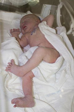 newborn baby inside incubator