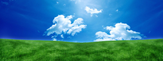 Obraz na płótnie Canvas łąka-piękny krajobraz z trawy i błękitne niebo