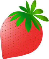 strawberry color vector illustration isolated on white