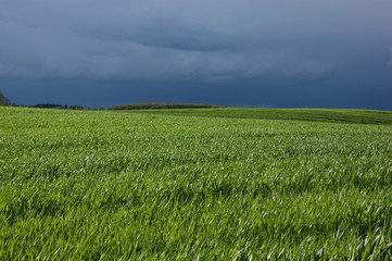 tempesta