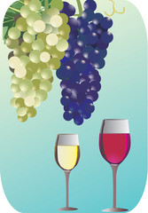 white and red wine on blue