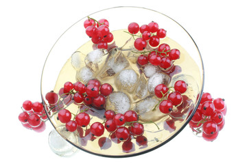 Red currant in the glass plate