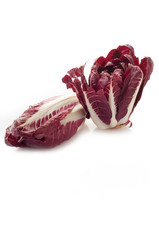 chicory radicchio isolated on white