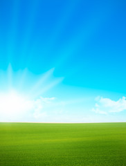 Fototapeta na wymiar Landscape - green field and blue sky