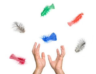 Close up of colorful feathers falling to hands