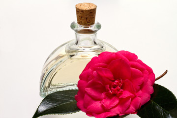 Camellia oil.