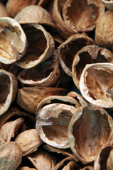 wallnut shells