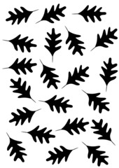 Oak leaves background