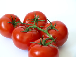 Strauchtomaten