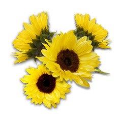 sunflowers arrangement