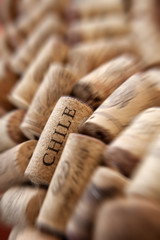 Chile cork plug