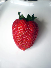 Fresa sobre fondo blanco