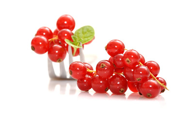 Johannisbeeren auf der Gabel