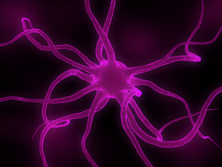 isolierte Nervenzelle