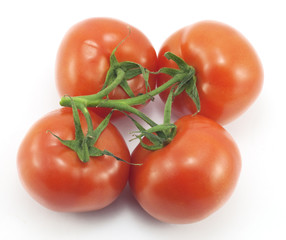 red tomato
