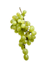 Cluster of grapes